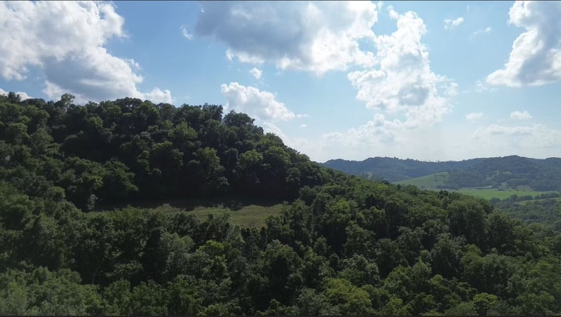 0 Hackett Hollow Ln, Pleasant Shade, TN 37145