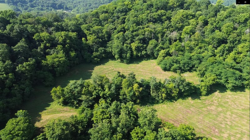 0 Hackett Hollow Ln, Pleasant Shade, TN 37145