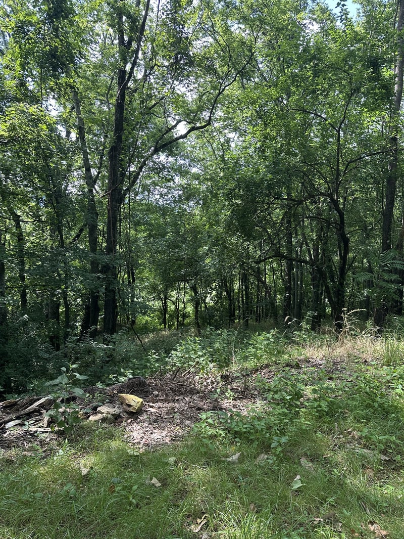 322 Stoneybrook Rd, Columbia, TN 38401