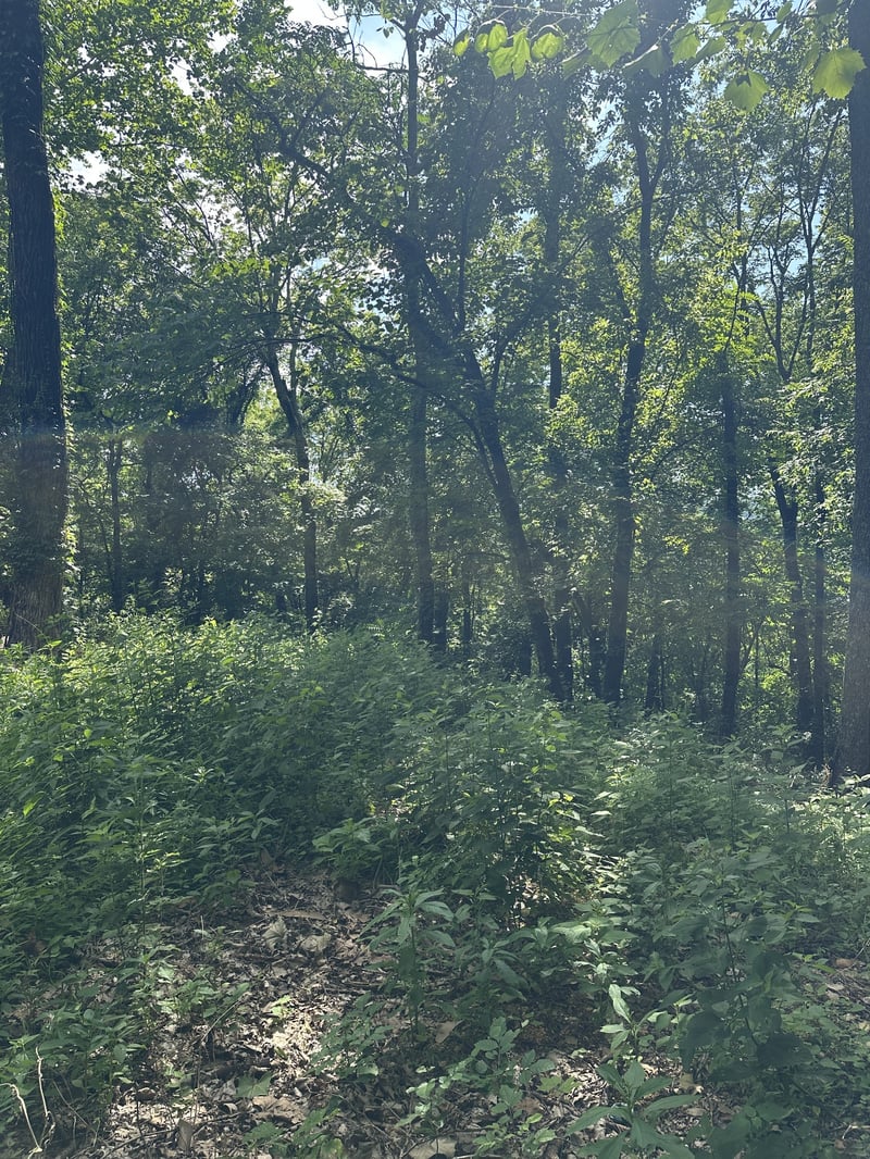 322 Stoneybrook Rd, Columbia, TN 38401