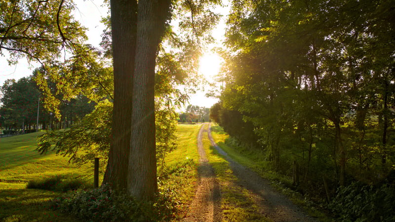 1665 Palmer Rd, Lebanon, TN 37090