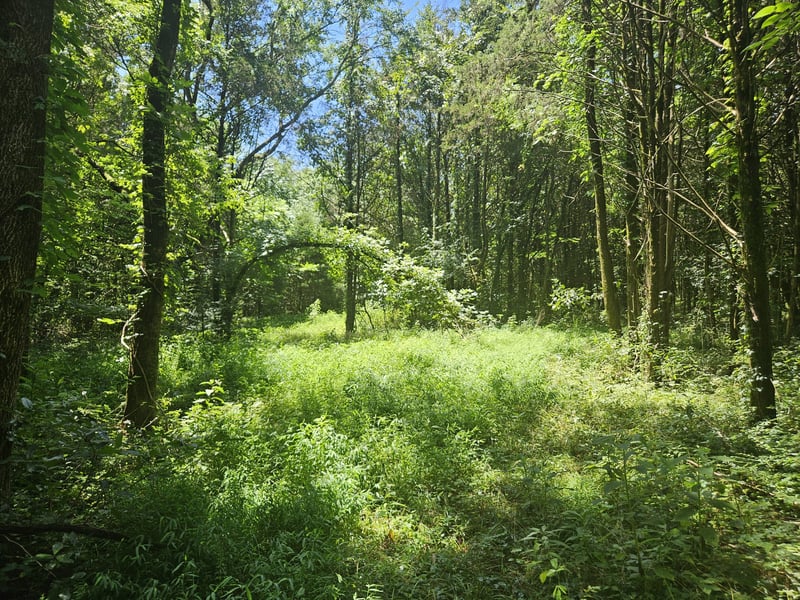 3720 Se Tater Peeler Rd, Lebanon, TN 37090