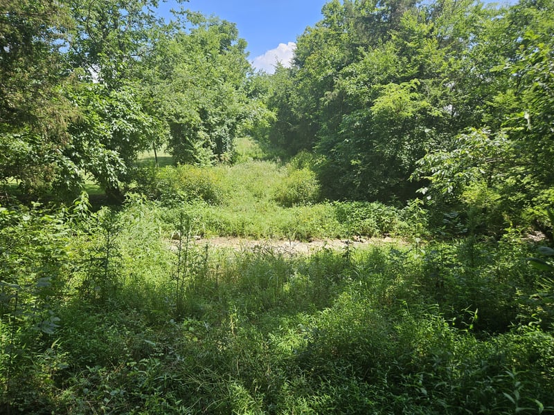 3720 Se Tater Peeler Rd, Lebanon, TN 37090