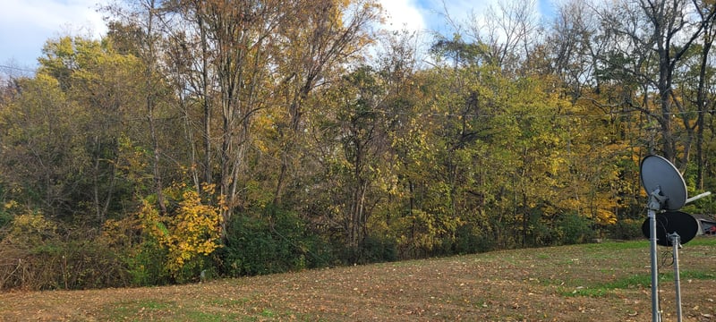 4698 Bennett Hollow Rd, Thompsons Station, TN 37179