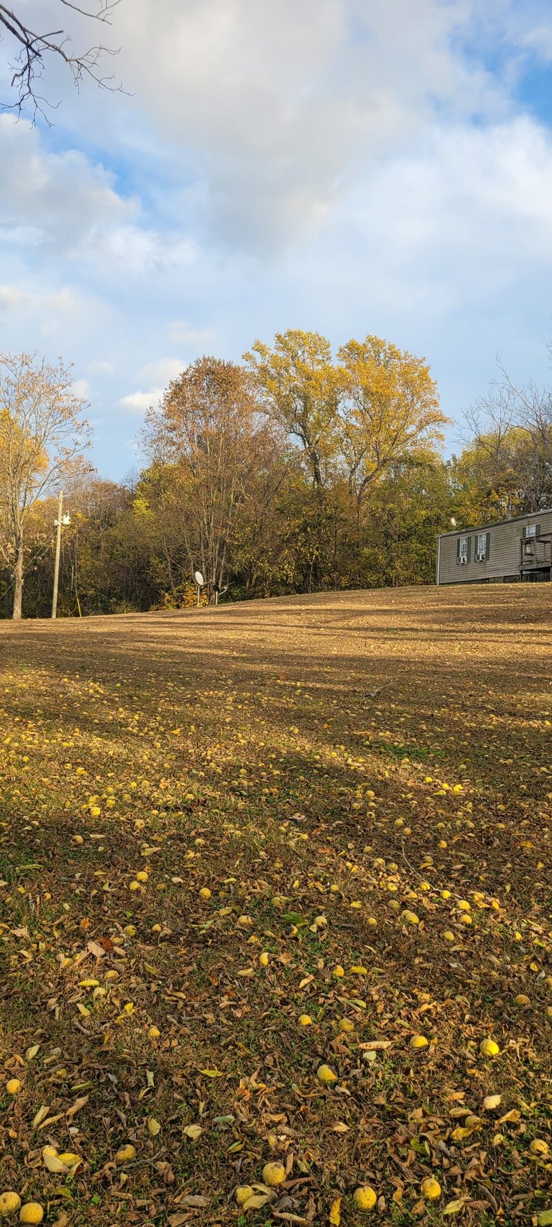 4698 Bennett Hollow Rd, Thompsons Station, TN 37179