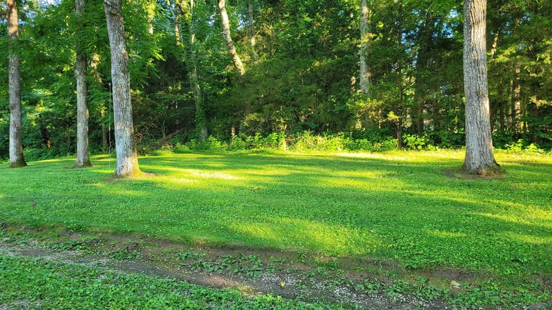 4698 Bennett Hollow Rd, Thompsons Station, TN 37179