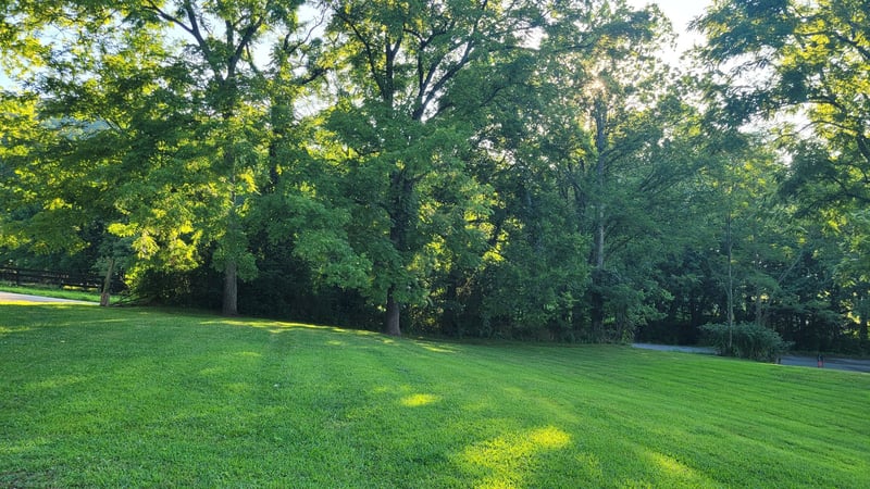 4698 Bennett Hollow Rd, Thompsons Station, TN 37179