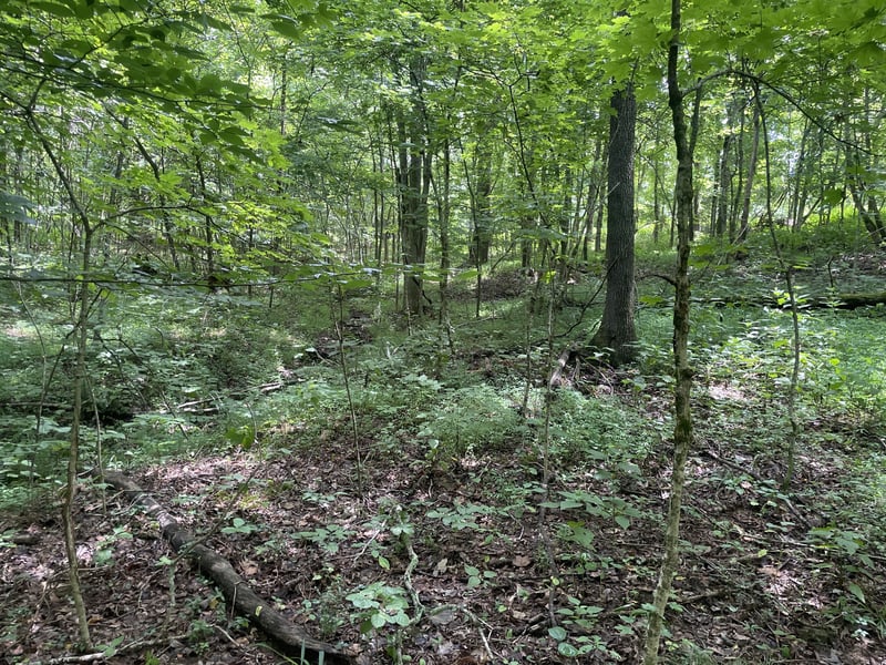 1535 Mount Olivet Rd, Hendersonville, TN 37075