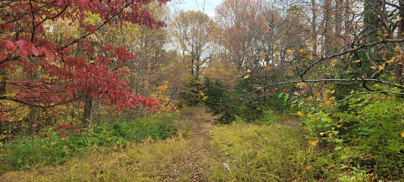1 Sugar Ridge Rd Lot 1, Spring Hill, TN 37174