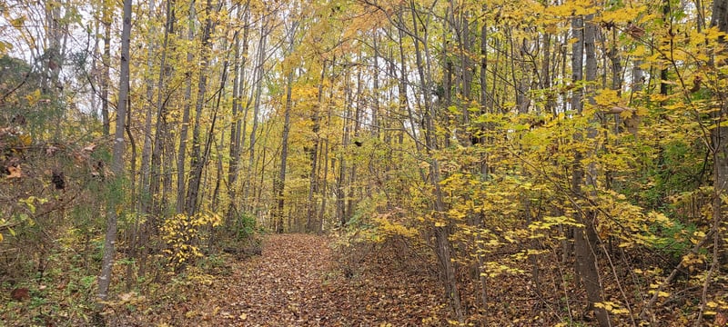 1 Sugar Ridge Rd Lot 1, Spring Hill, TN 37174