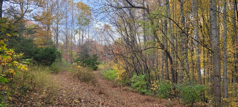 1 Sugar Ridge Rd Lot 1, Spring Hill, TN 37174