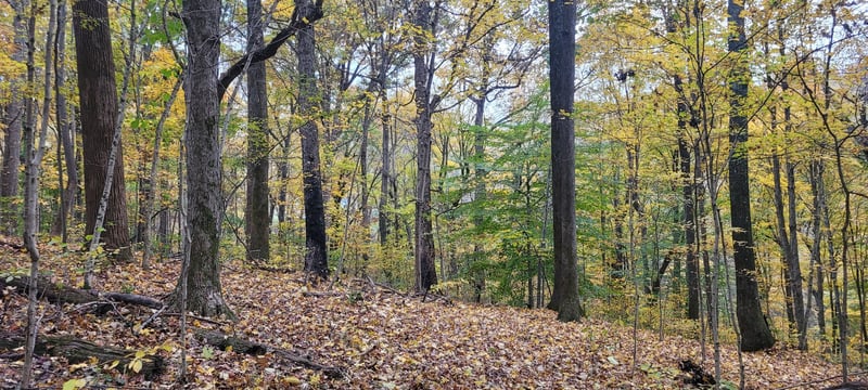 1 Sugar Ridge Rd Lot 1, Spring Hill, TN 37174
