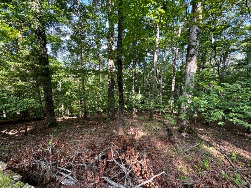 1025 Robin Ct, Kingston Springs, TN 37082