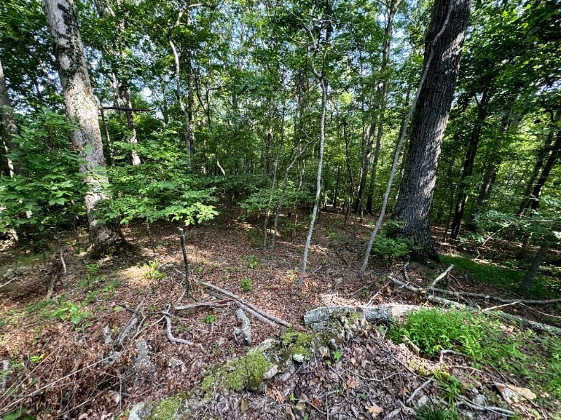 1025 Robin Ct, Kingston Springs, TN 37082