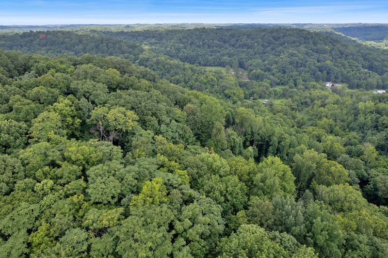 3899 Stevens Ln, Nashville, TN 37218