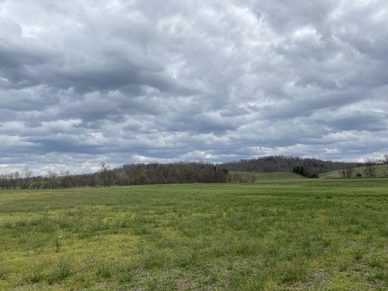 0 Rock Springs Rd, Charlotte, TN 37036