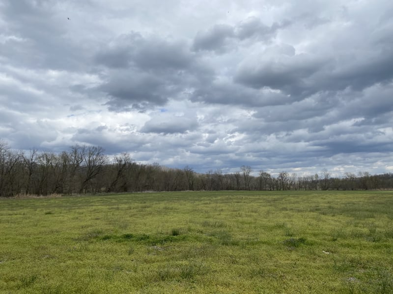 0 Rock Springs Rd, Charlotte, TN 37036