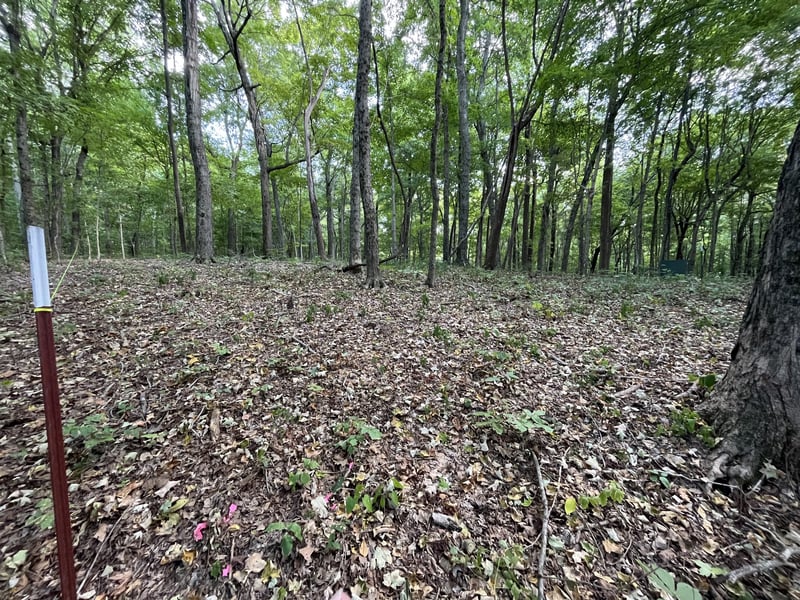 4703 Mount Zion Rd, Springfield, TN 37172