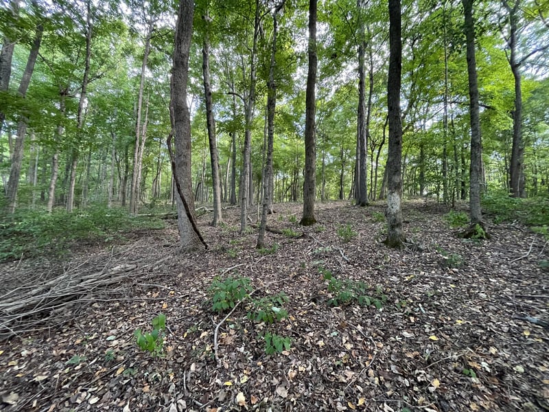 4703 Mount Zion Rd, Springfield, TN 37172