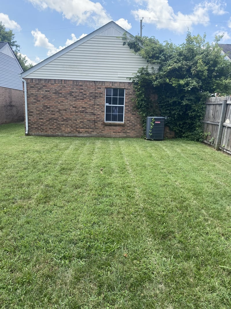 804 Willow Trace Ct, Whites Creek, TN 37189