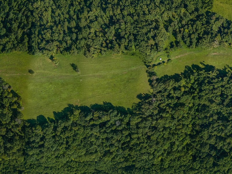 7393 S Harpeth Rd, Franklin, TN 37064