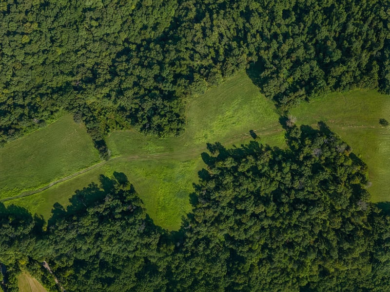 7393 S Harpeth Rd, Franklin, TN 37064