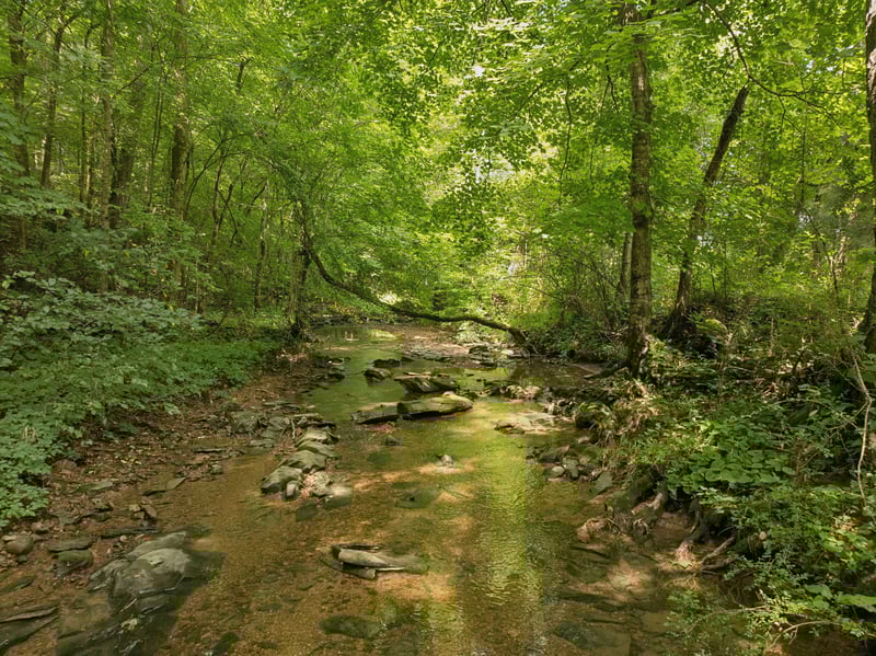 4215 Hampshire Pike, Hampshire, TN 38461