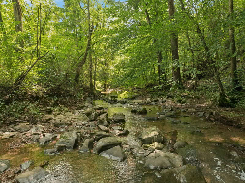 4215 Hampshire Pike, Hampshire, TN 38461