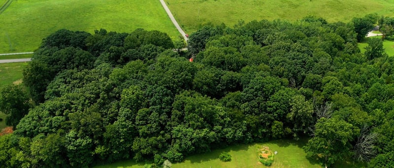 512 N Happy Hollow Rd, Portland, TN 37148