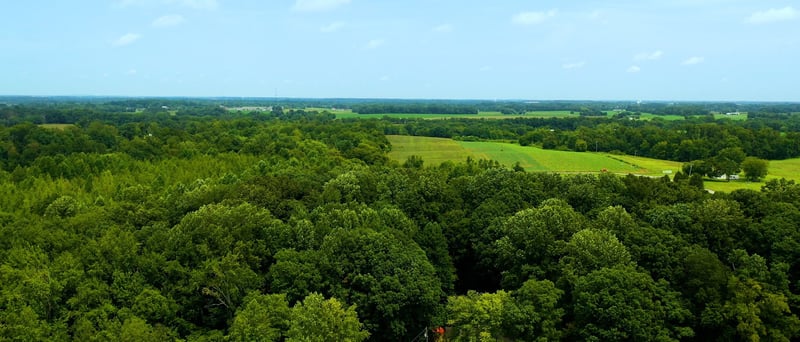 512 N Happy Hollow Rd, Portland, TN 37148