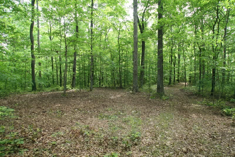 5671 Pinewood Rd, Franklin, TN 37064