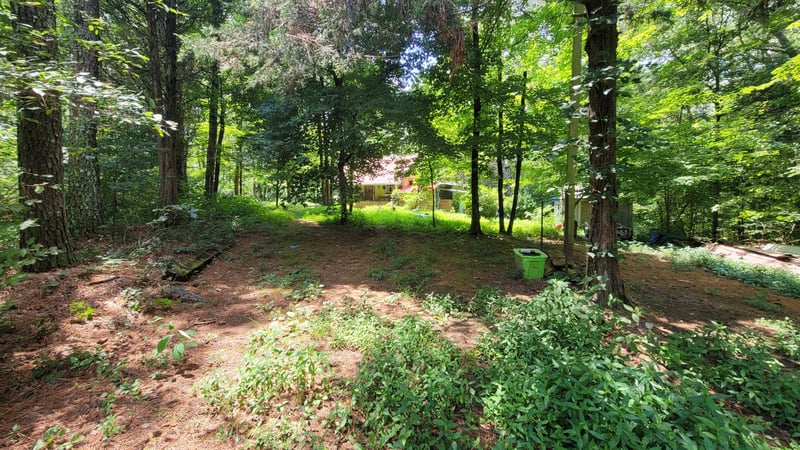 7992 Primm Springs Rd, Primm Springs, TN 38476