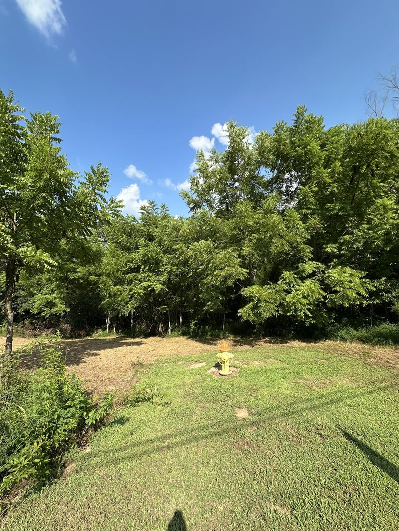 0 Rustling Oaks Ct, Pleasant View, TN 37146