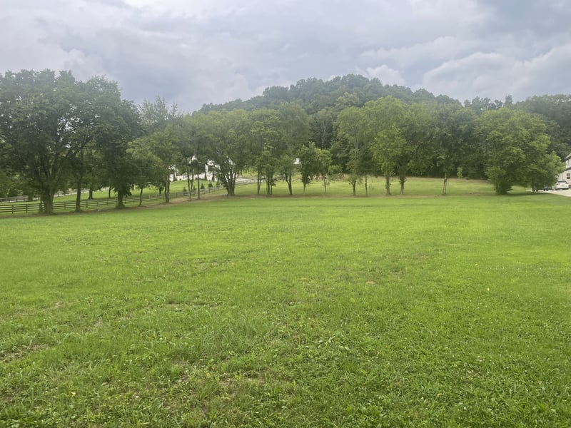 6822 Arno Allisona Rd, College Grove, TN 37046