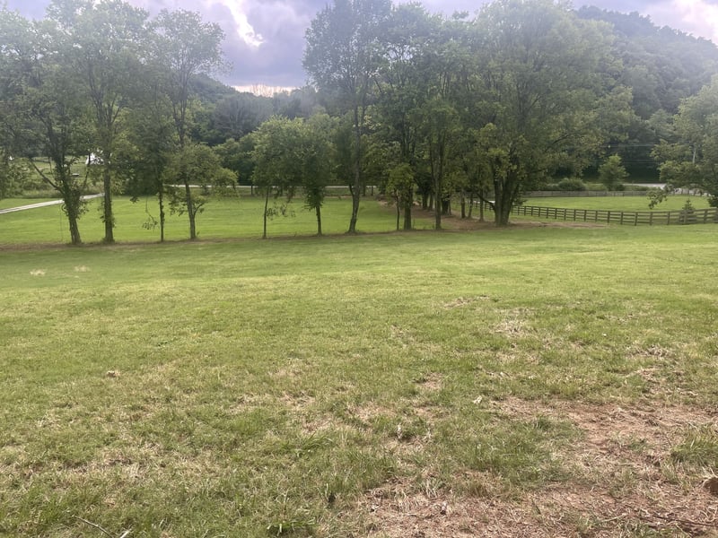 6822 Arno Allisona Rd, College Grove, TN 37046