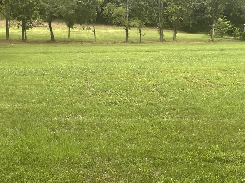 6822 Arno Allisona Rd, College Grove, TN 37046