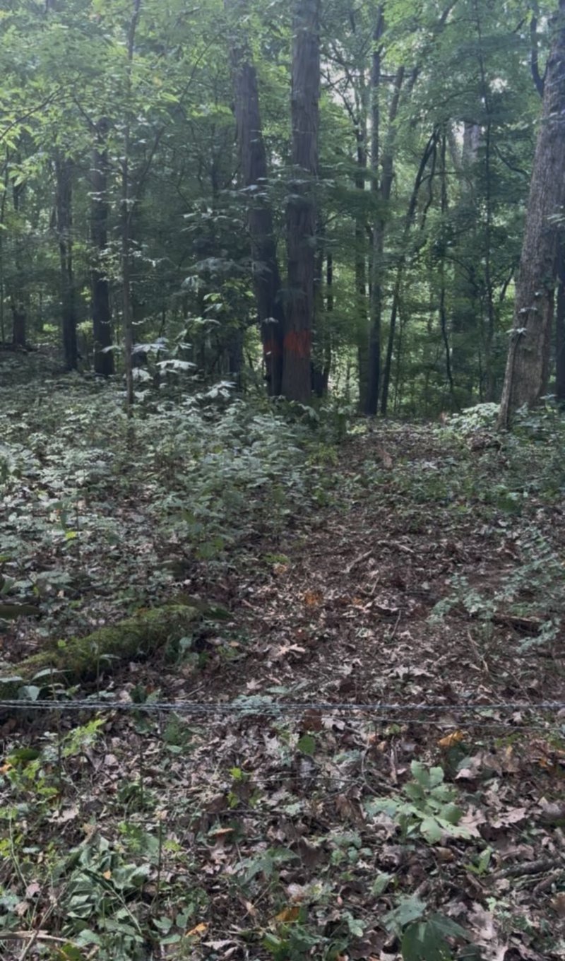 1 Hitt Ln, Goodlettsville, TN 37072