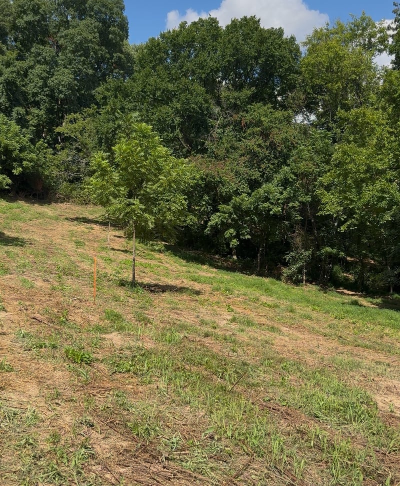 1 Hitt Ln, Goodlettsville, TN 37072