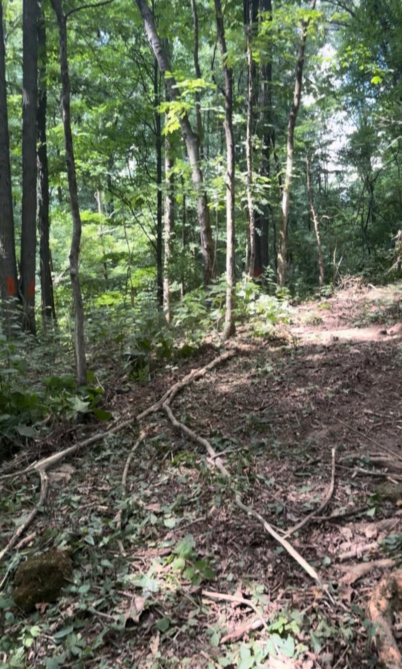 1 Hitt Ln, Goodlettsville, TN 37072