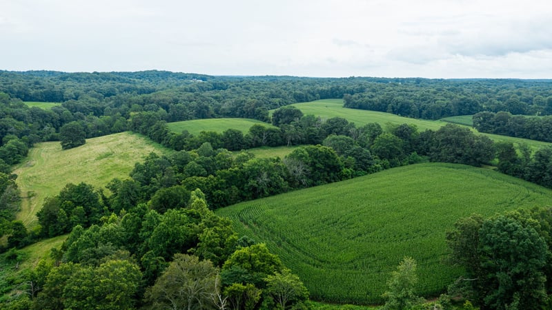 1550 Dutch Creek Rd, Westmoreland, TN 37186