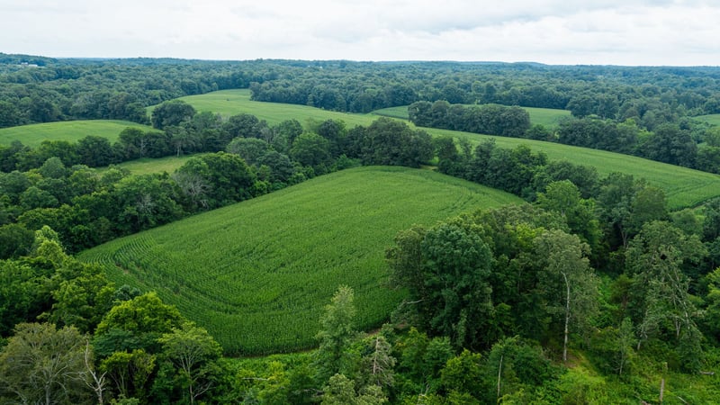 1550 Dutch Creek Rd, Westmoreland, TN 37186