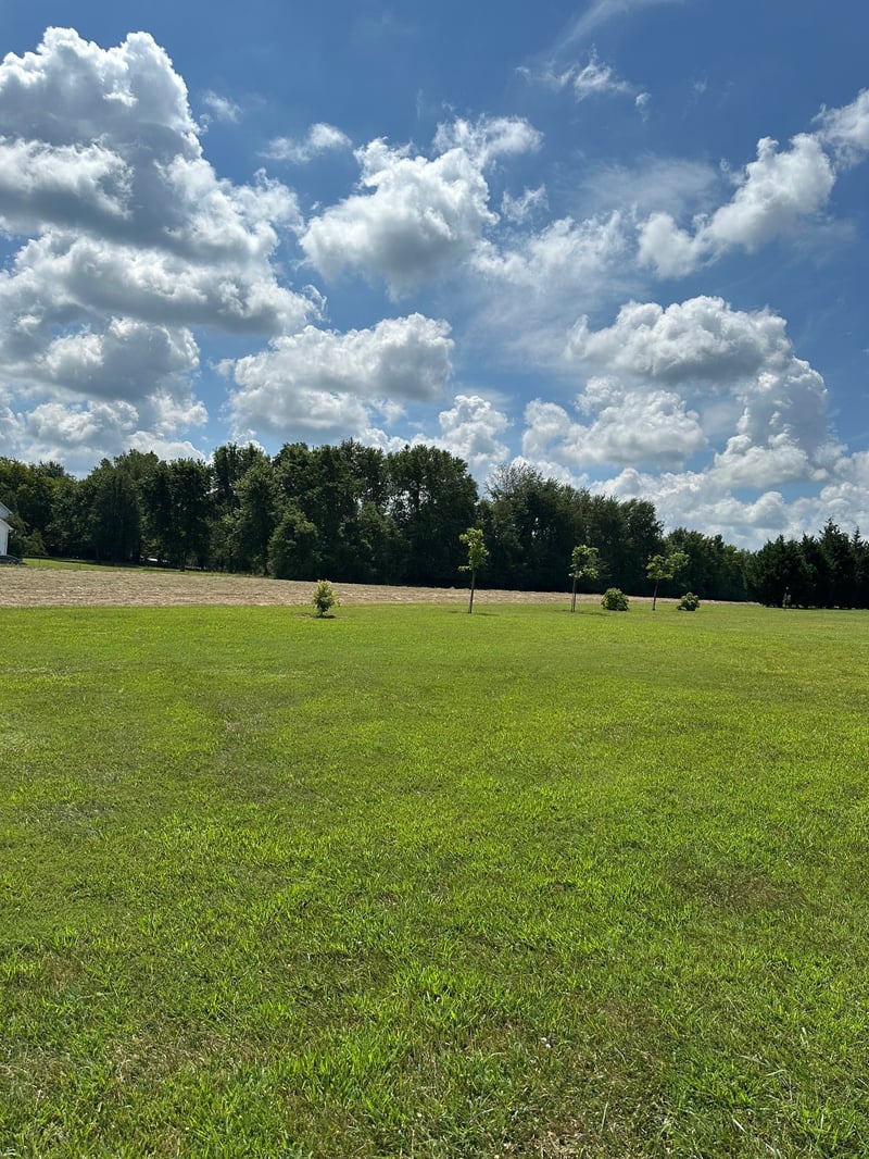 Maynard Ln, Columbia, TN 38401