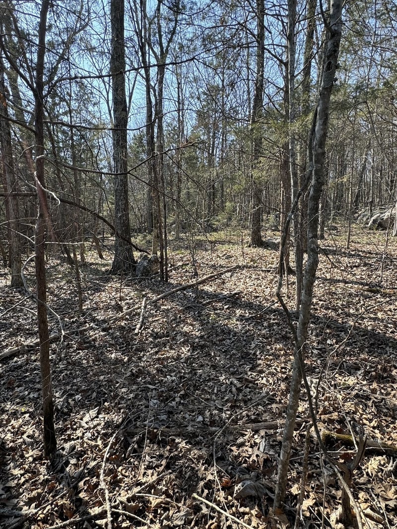 0 Cainsville Rd, Lascassas, TN 37085