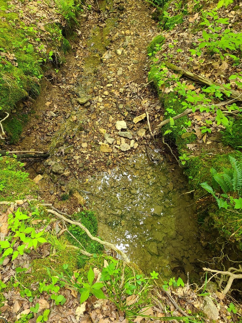 0 Davis Hollow Rd, Franklin, TN 37064