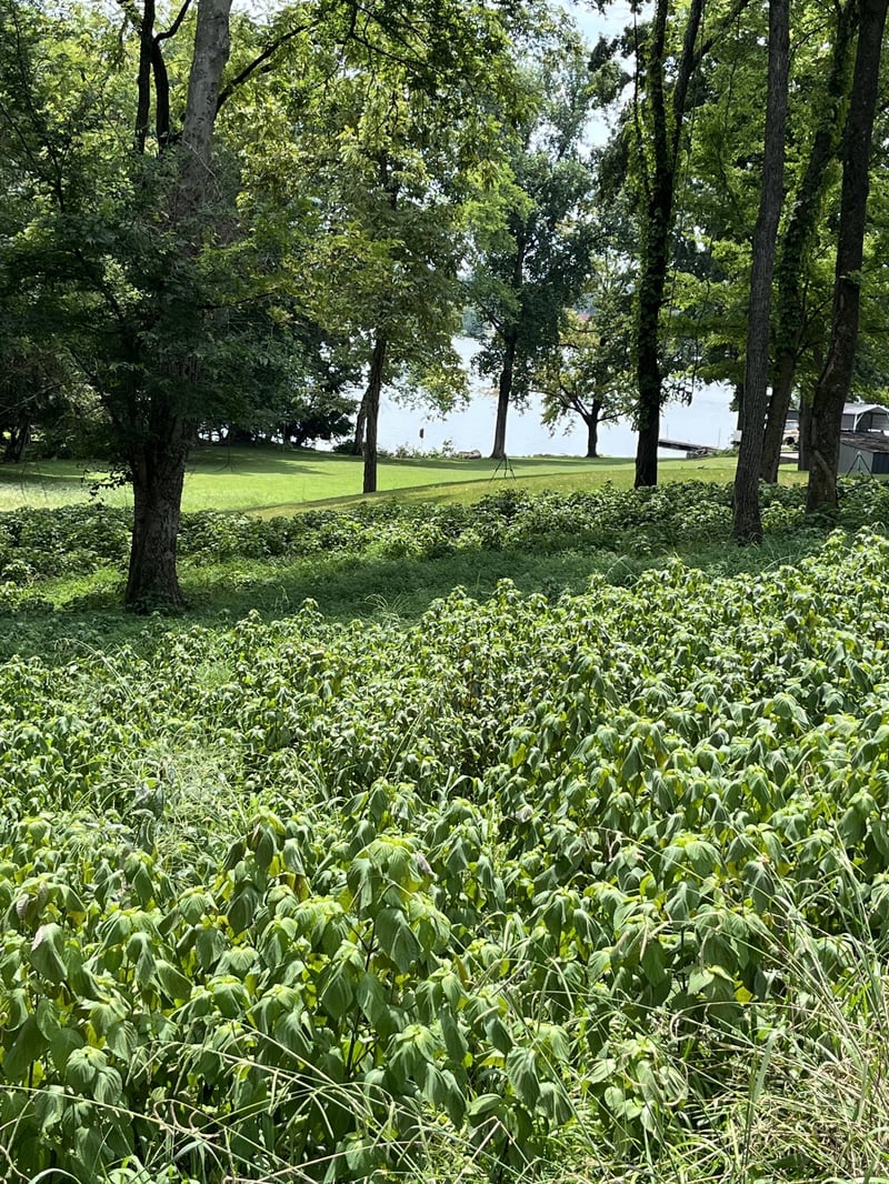 100 Sterling Rd, Hendersonville, TN 37075