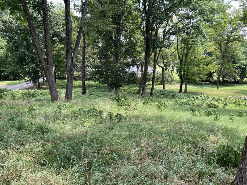 100 Sterling Rd, Hendersonville, TN 37075