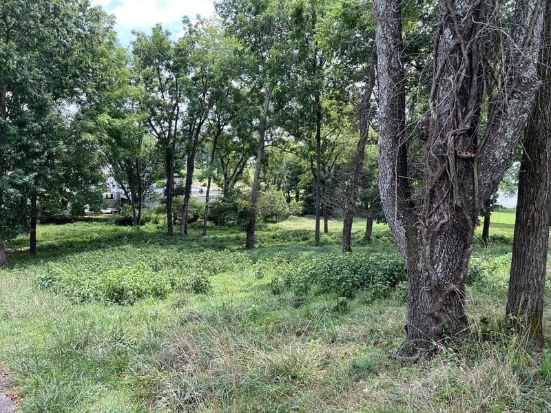 100 Sterling Rd, Hendersonville, TN 37075