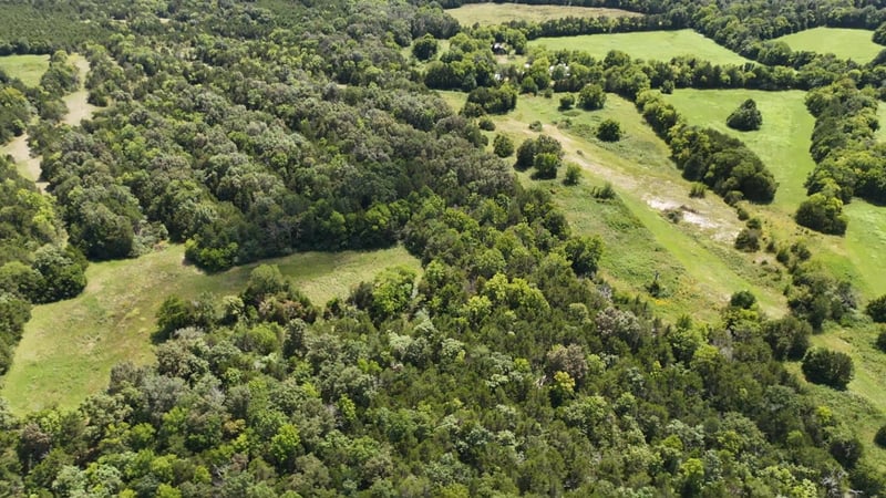 Murray Kittrell Rd, Readyville, TN 37149
