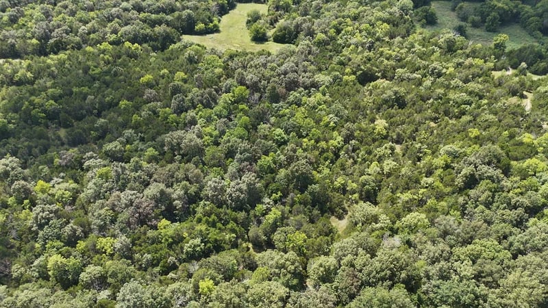 0 Murray Kittrell Rd, Readyville, TN 37149