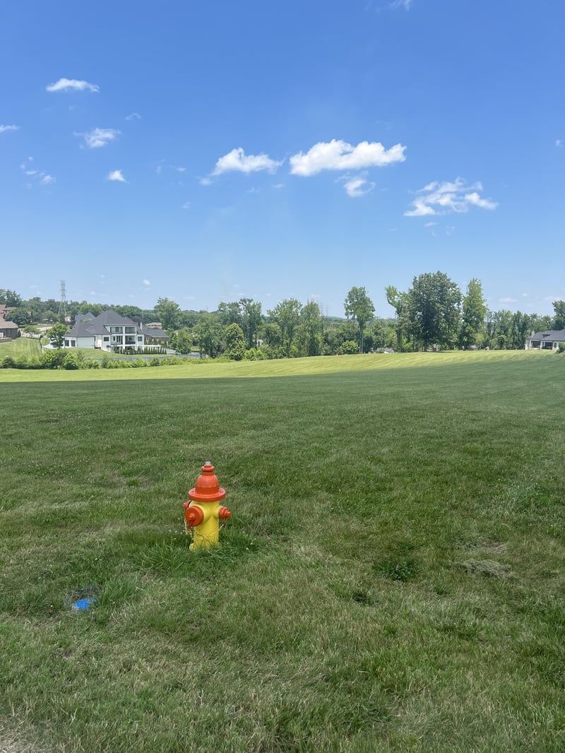 1402 Fairview Dr, Mount Juliet, TN 37122